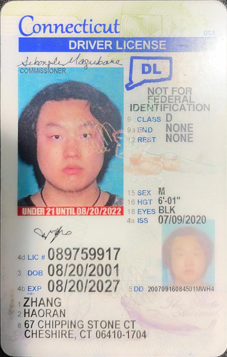 connecticut-license-translator