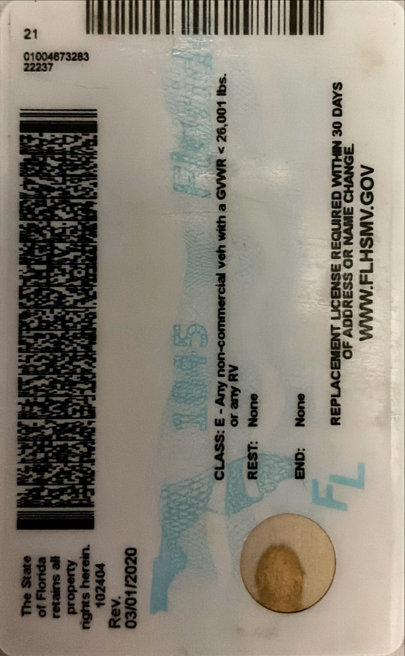 florida-license-translator