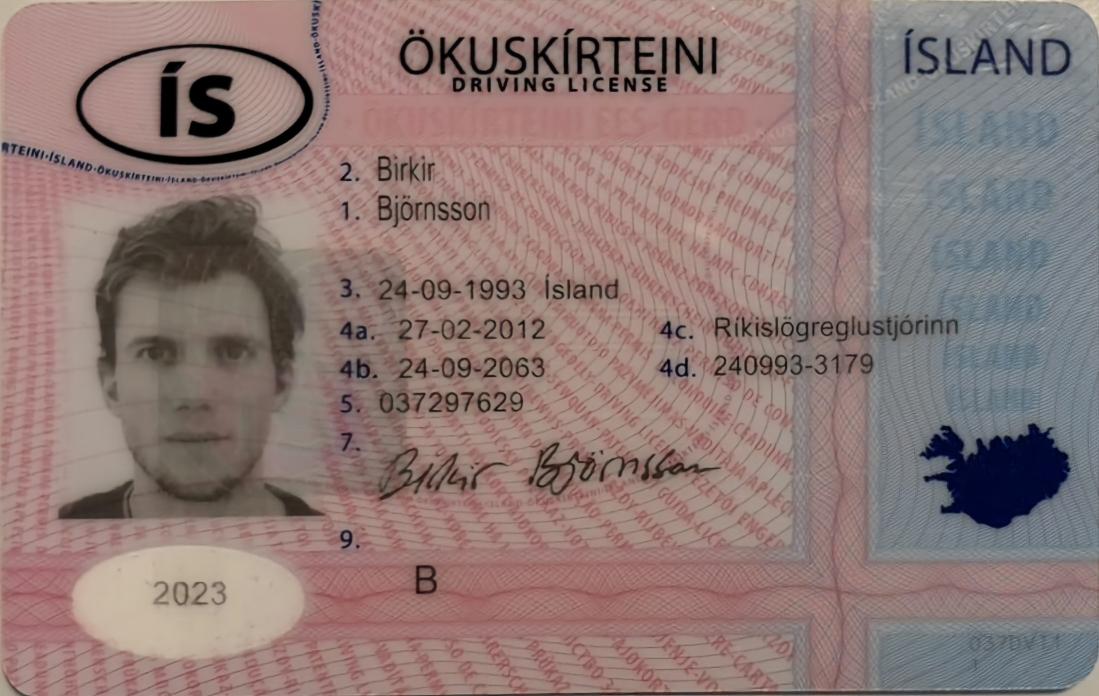 iceland-license-translator