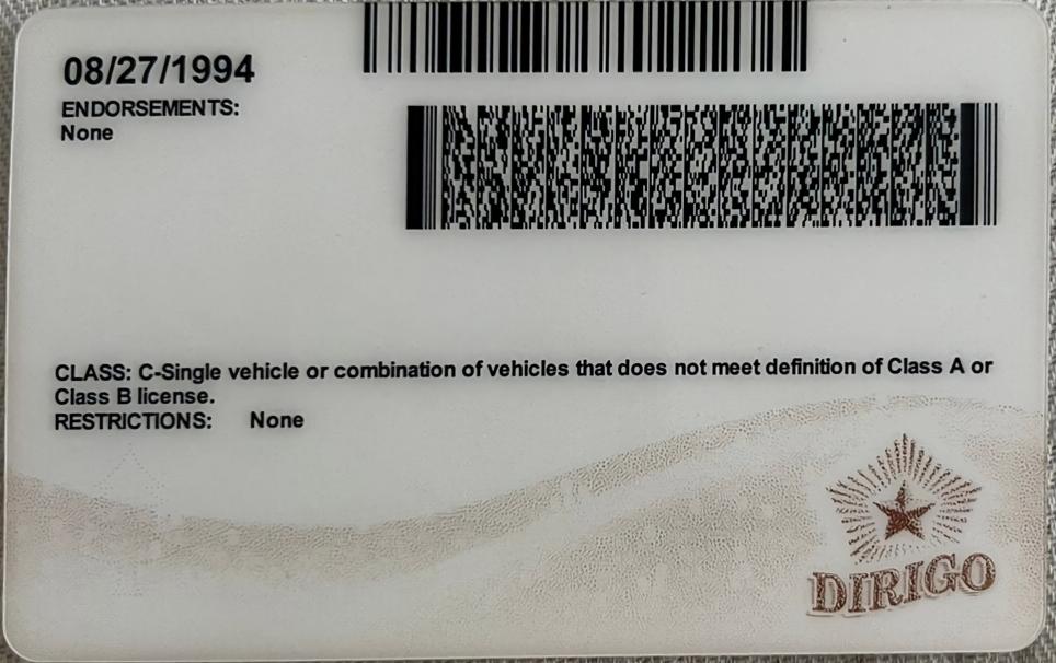 maine-license-translator