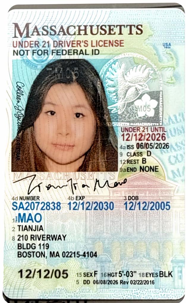 massachusetts-license-translator