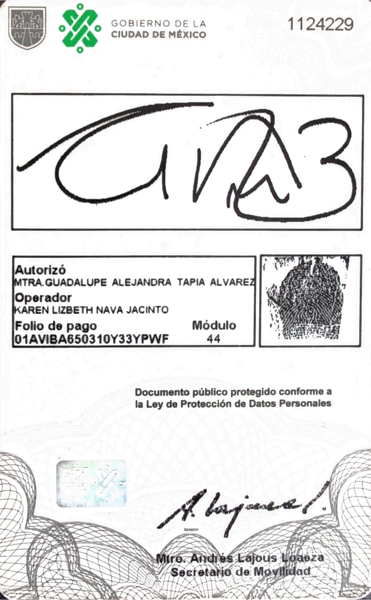 mexico-city-license-translator