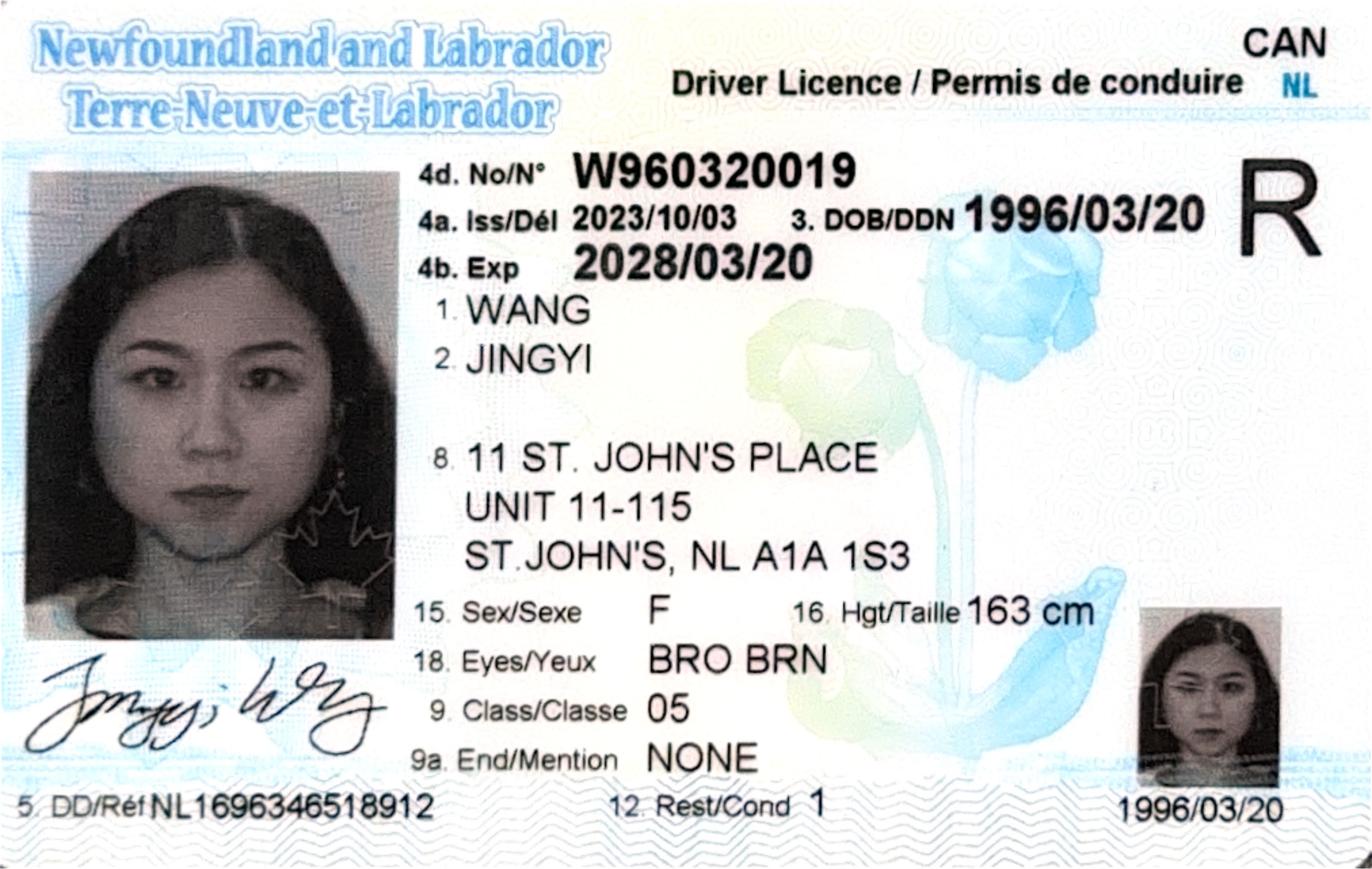 newfoundland-labrador-license-translator
