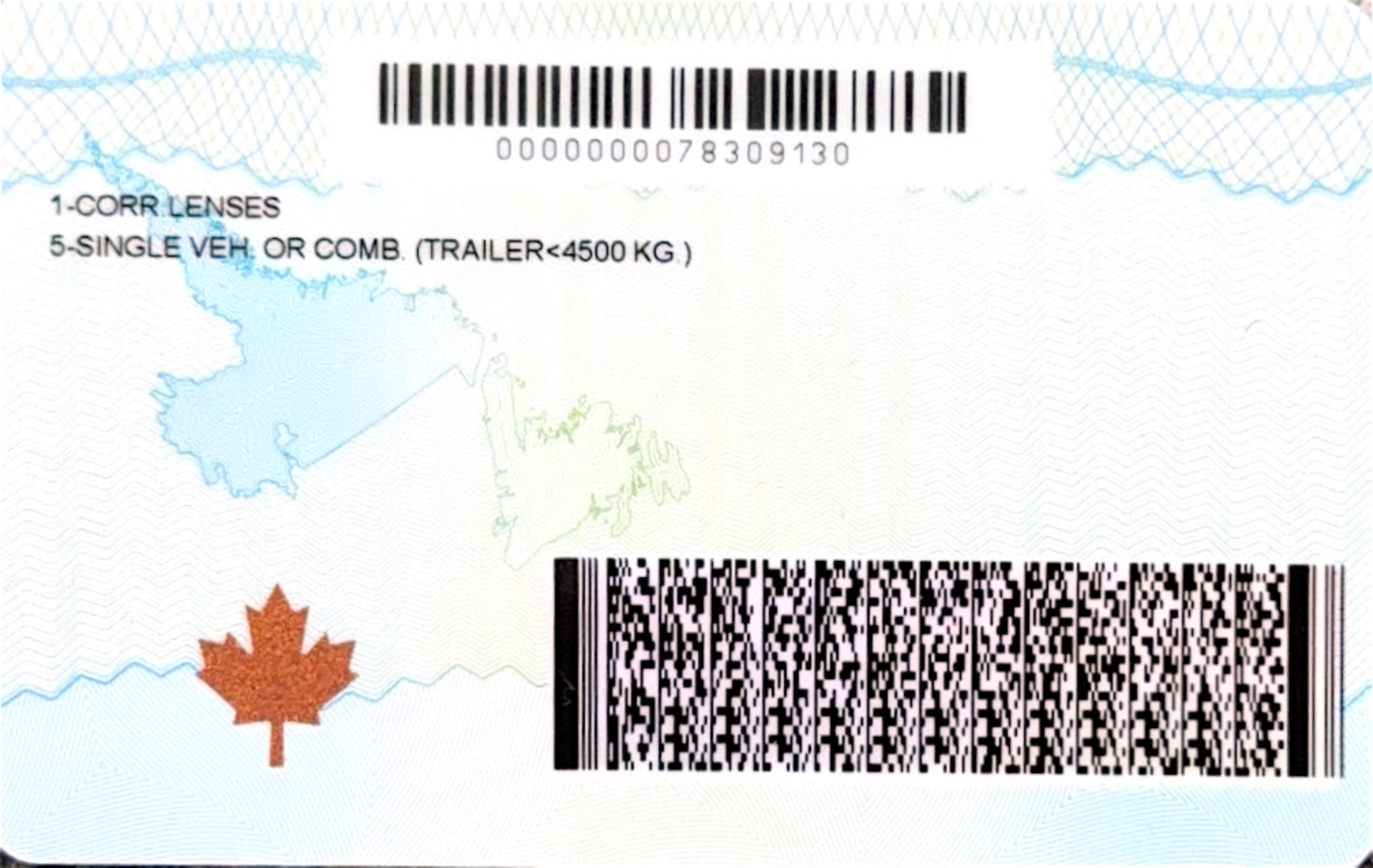 newfoundland-labrador-license-translator