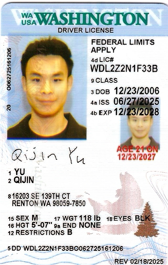 washington-license-translator